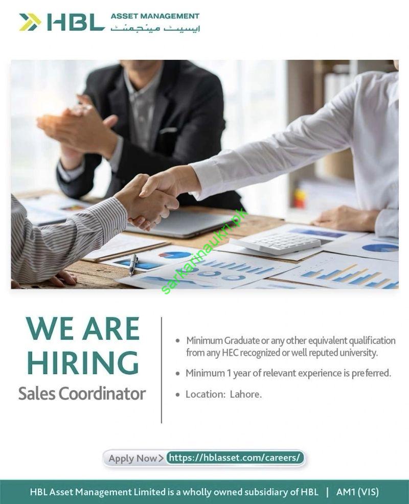 HBL Asset Management Jobs 2026 – Sales Coordinator Position in Lahore