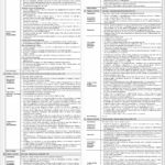NBP Digital Banking Jobs 2026 – Apply Online at nbp.rozeegpt.ai