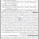 District Judiciary Shangla | Jobs 2026 | Vacancies Available