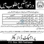Government of Khyber Pakhtunkhwa | ADP Project | Jobs 2026 | Applications Required