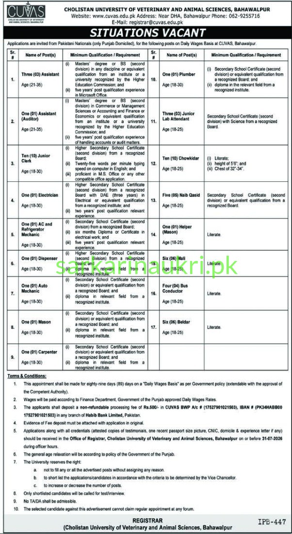 CUVAS Bahawalpur Jobs 2026: Daily Wages Situations Vacant – 17 Positions