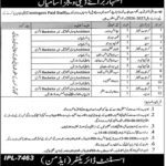Directorate General of Archaeology, Government of Punjab New Jobs 2026