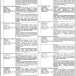 Punjab Education, Curriculum, Training and Assessment Authority (PECTAA) | Jobs 2026 | Apply Online for Deputy Director