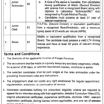 IBTS Lahore Jobs 2026: Junior Technician, Clerk & Driver Vacancies