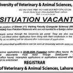 UVAS Jobs 2026: Visiting Faculty (Computer Science) Lahore & Pattoki