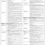 NBP Jobs 2026: National Bank of Pakistan Career Opportunities